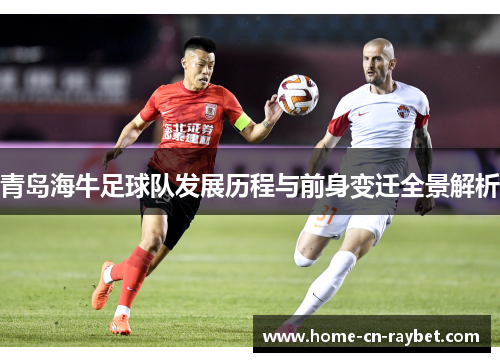 青岛海牛足球队发展历程与前身变迁全景解析