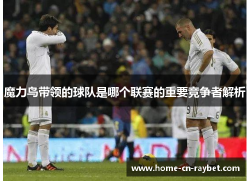 魔力鸟带领的球队是哪个联赛的重要竞争者解析 魔力鸟带领的球队是哪个联赛的重要竞争者解析