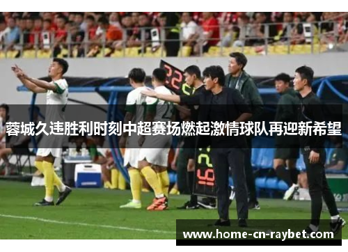 蓉城久违胜利时刻中超赛场燃起激情球队再迎新希望