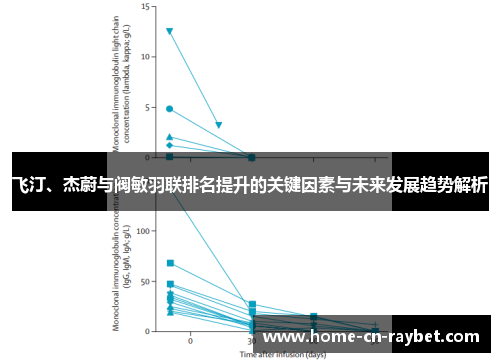 飞汀、杰蔚与阀敏羽联排名提升的关键因素与未来发展趋势解析